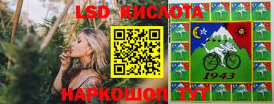 гидропоника Сланцы