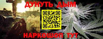 гидропоника Сланцы