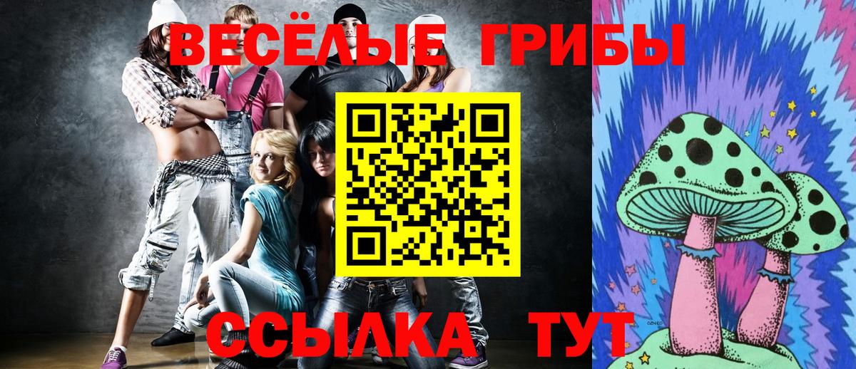 Галлюциногенные грибы GOLDEN TEACHER  Вход с VPN  Галлюциногенные грибы Psilocybine cubensis  Нурлат 